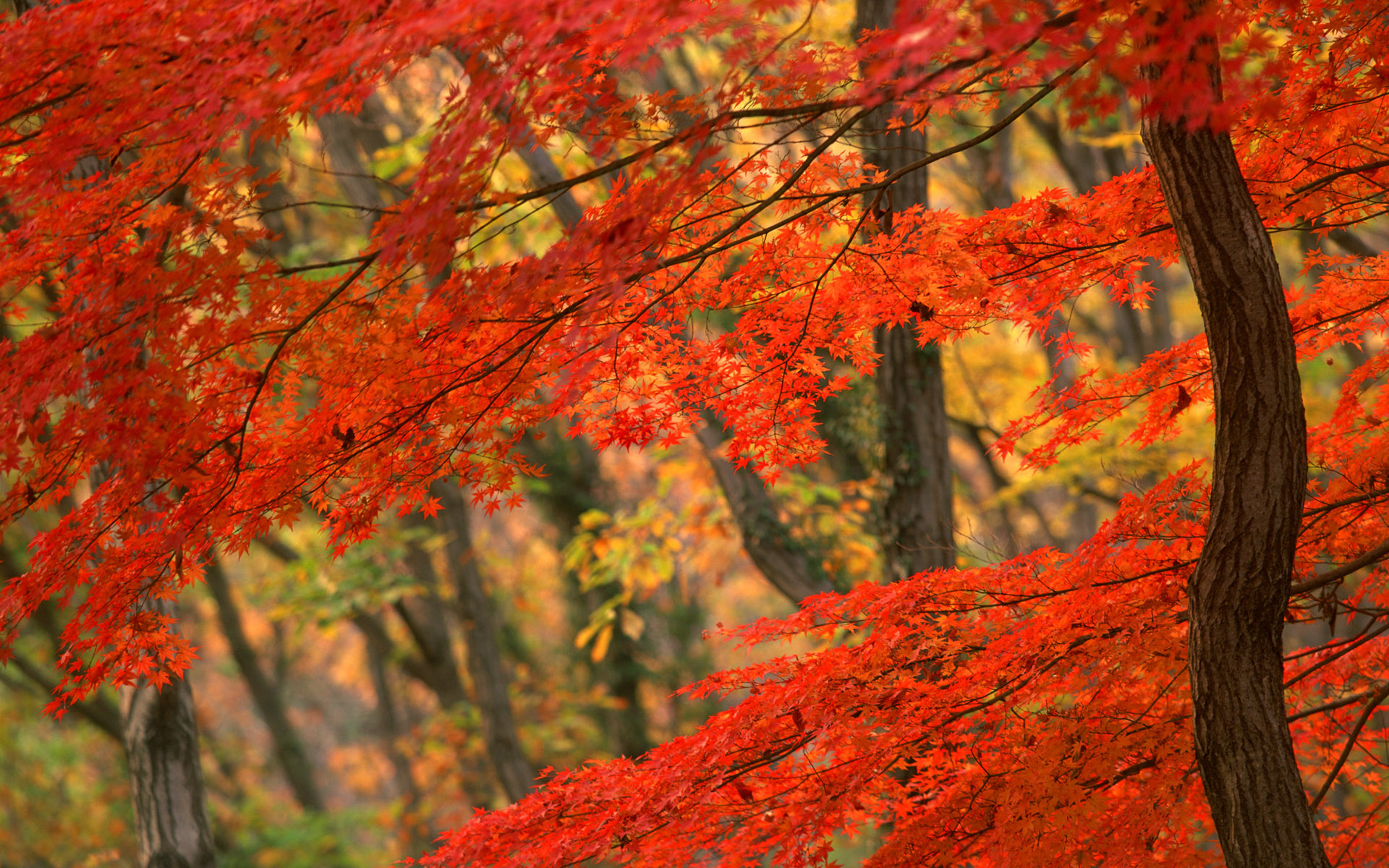 viaggiare ad ottobre