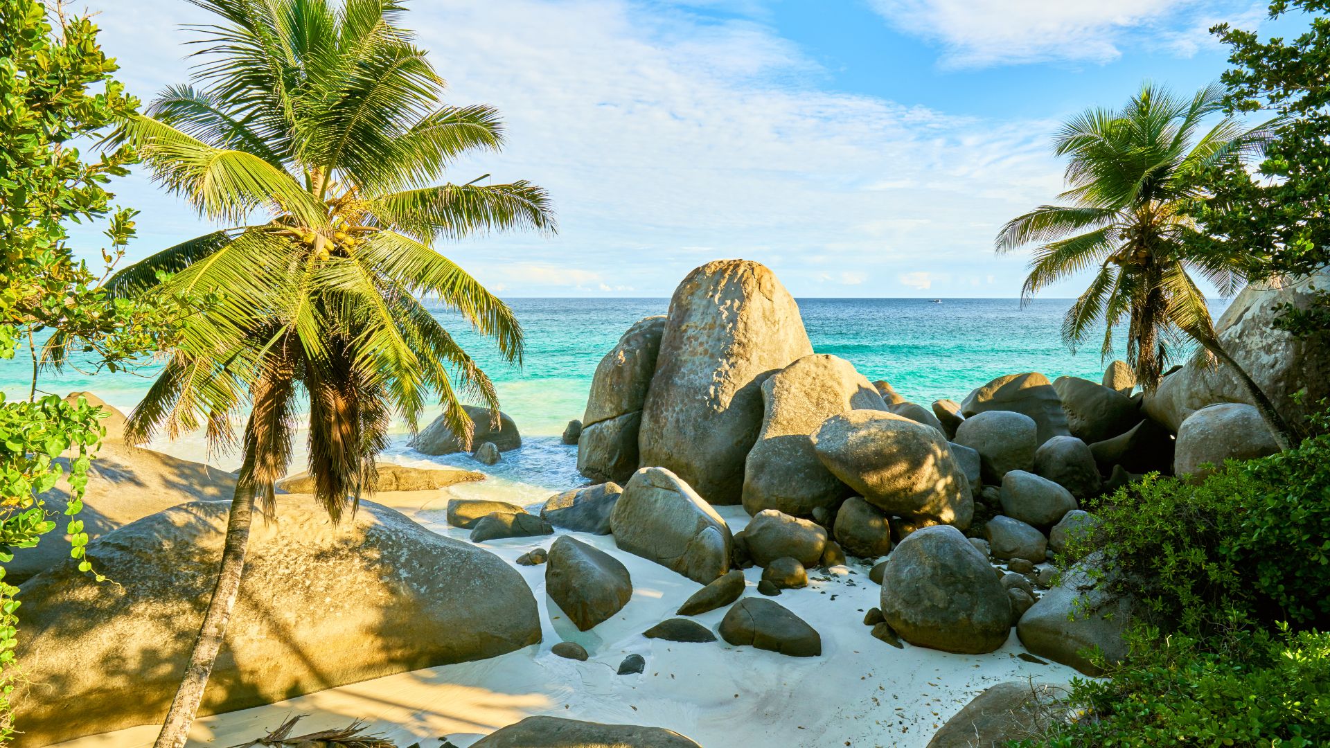 viaggio alle seychelles